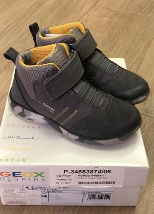 Черевики осінні geox