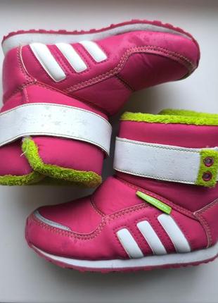 Чобітки адідас adidas p.24