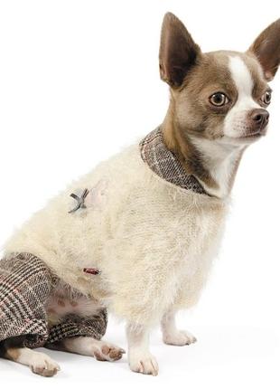 Осінній костюм для маленьких собачок pet fashion fler