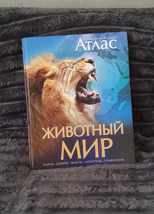 Животный мир, махаон
