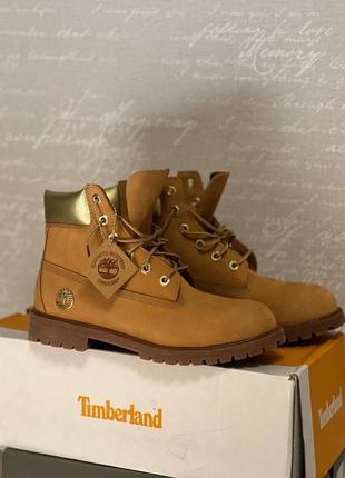 Черевики timberland