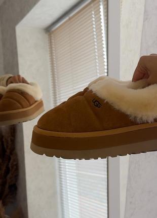 Ugg tazzila platform натуральні