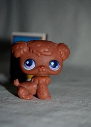 Петс шопы pet shop игрушки зоомагазин littlest pet shop lps стоячка с магнитом