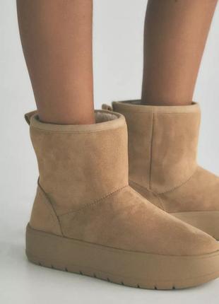 Ботинки женские коричневые с мехом zara new