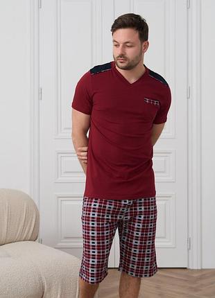 Мужская пижама трикотажная с шортами 93453 размер m, l, xl, 2xl