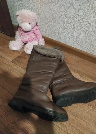 Сапоги , трубы, ботфорты, кожа.