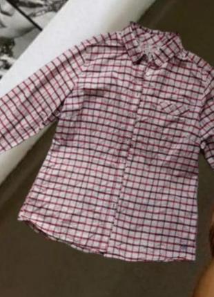 Рубашка в клетку crew clothing женская
