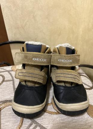 Детские зимние ботинки geox
