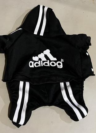 Одяг для маленьких собак