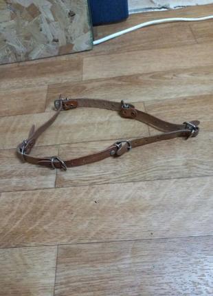 Кожаный ошейник для собак7 фото