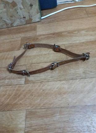 Шкіряний нашийник для собак