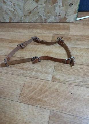 Кожаный ошейник для собак6 фото