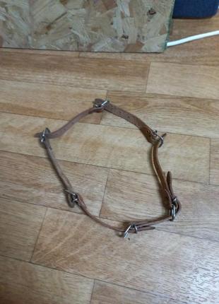 Кожаный ошейник для собак9 фото