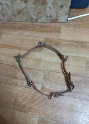 Кожаный ошейник для собак5 фото