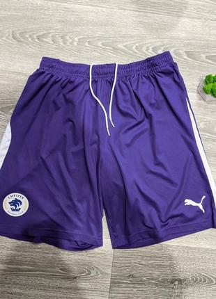 Чоловічі спортивні шорти puma original