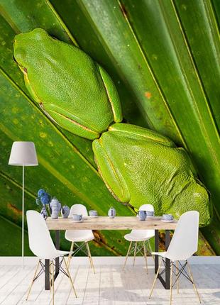 3d фотошкіри "жаби"