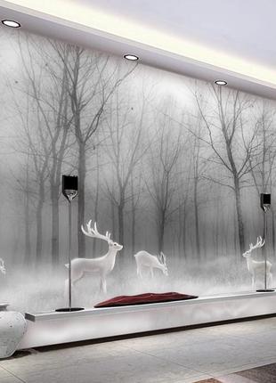 Фотошлях "пасмурний ліс"