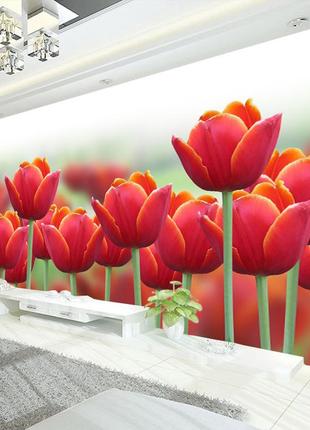 3d фотошкіри "червоні тюльпани"
