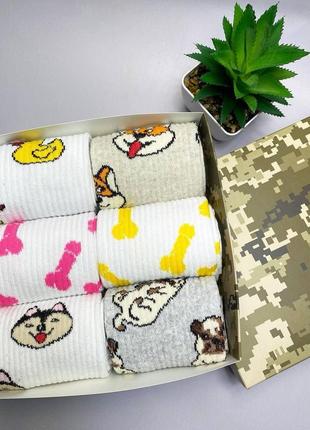 Бокс жіночих високих шкарпеток 36-41 на 6 пар у подарунковій коробці