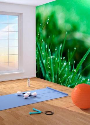 3d фотообои "капельки росы"