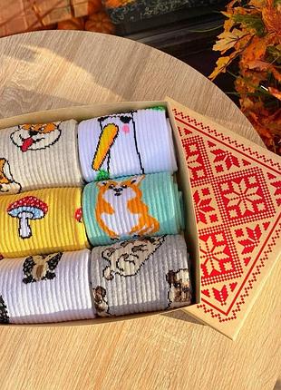 Бокс жіночих високих шкарпеток 36-41 на 6 пар у подарунковій коробці