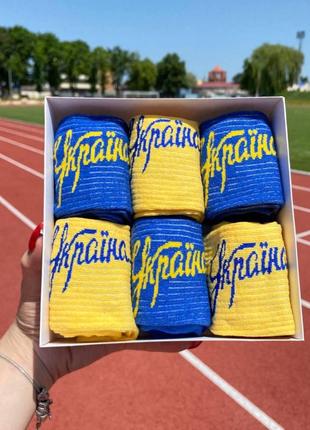 Бокс патріотичних жіночих шкарпеток 6 пари 36-41р у подарунковій коробці