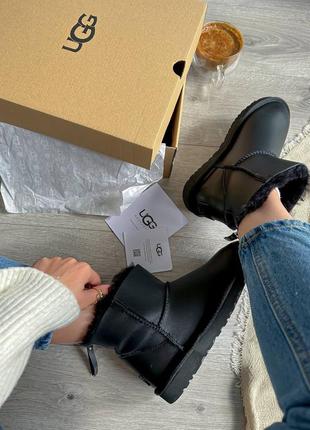 Жіночі уггі