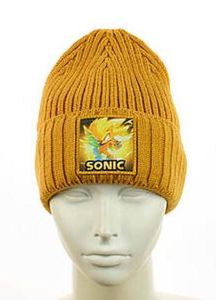 Зимова шапка для хлопчика "sonik"