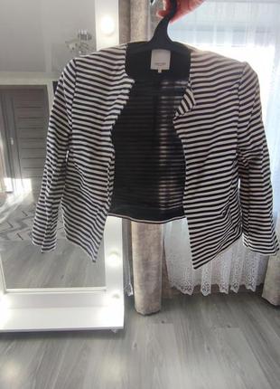 Пиджак полоскатый