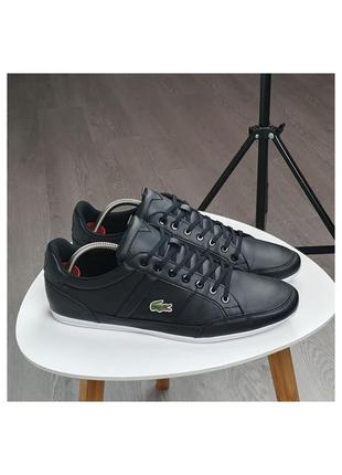 Кроссовки lacoste