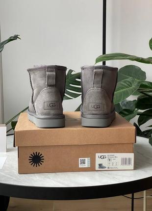 Брендовые женские ботинки ugg classic mini grey * lastrd