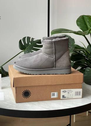 Брендовые женские ботинки ugg classic mini grey * lastrd