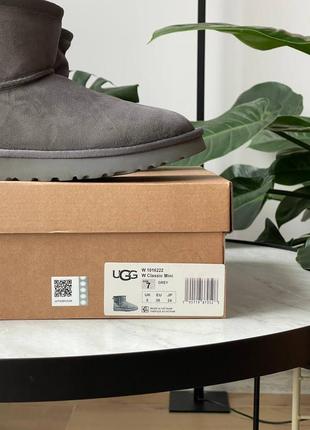 Брендовые женские ботинки ugg classic mini grey * lastrd