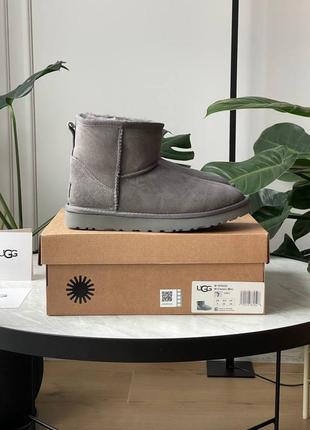 Брендовые женские ботинки ugg classic mini grey * lastrd