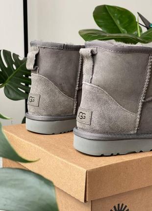 Брендовые женские ботинки ugg classic mini grey * lastrd