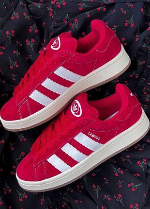 Жіночі кросівки adidas campus red замша