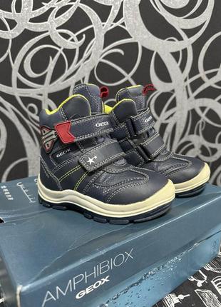 Зимние сапожки geox