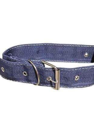 Ремінець-ошийник радуга , подвійний h=30мм арт.118 тм харків