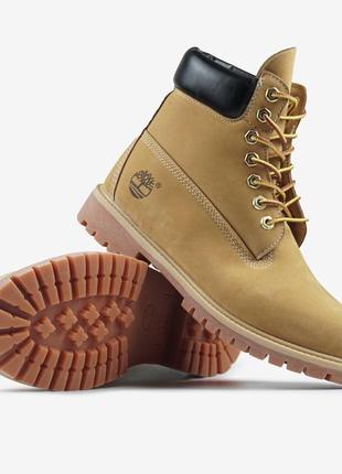 Timberland beige
