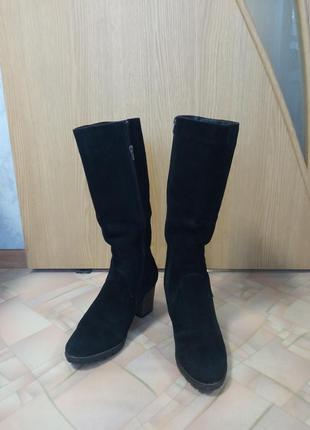 Сапоги женские