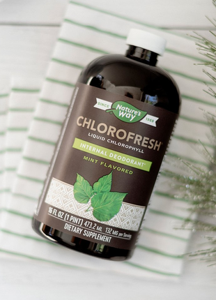 Nature's way, chlorofresh, рідкий хлорофіл, зі смаком м’яти, 132 мг, 480 мл (16 рідк. унцій) (132 мг