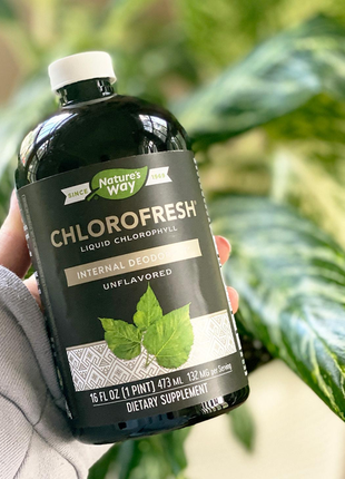 Nature's way, chlorofresh, рідкий хлорофіл, з нейтральним смаком, 480 мл (16 рідк. унцій)