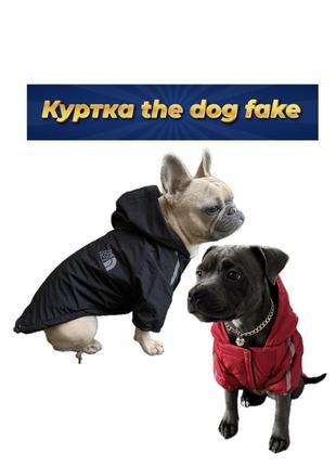 Куртка для собак, одежда для собак