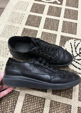 Шкіряні кеди geox