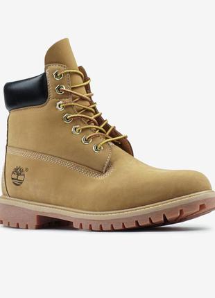 Чоботи timberland beige
