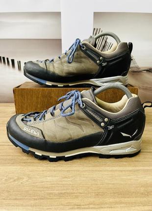 Кросівки salewa