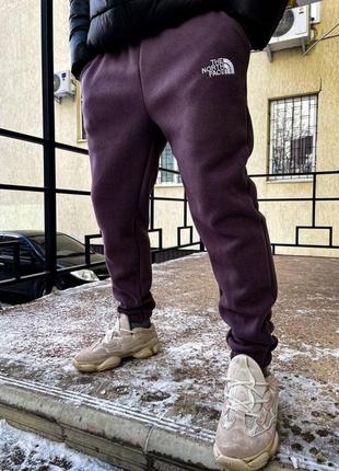 Спортивные штаны tnf