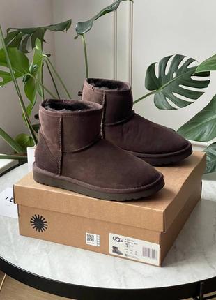 Уггі ugg classic winter
