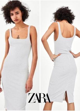 1+1=3 ❤️ нова міді сукня майка по фігурі zara m-l в дрібну смужку трикотажне плаття