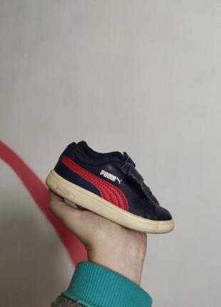 Puma smash